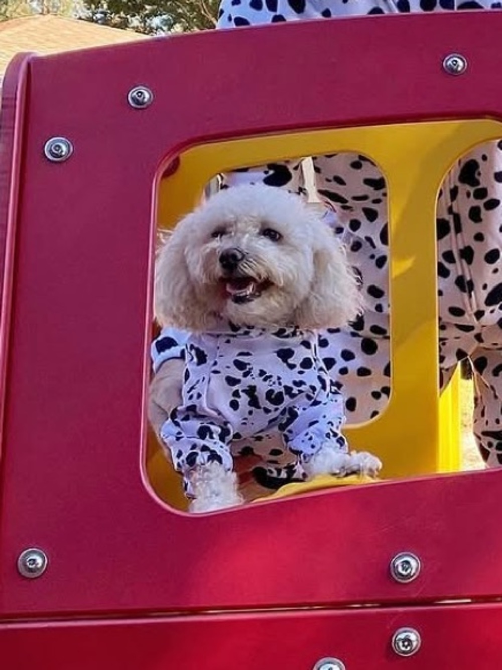 Cute Pet Dalmatian Costume Onesie - Black & White